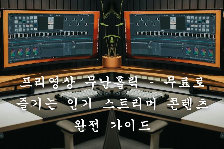 프리영상 무난홀릭